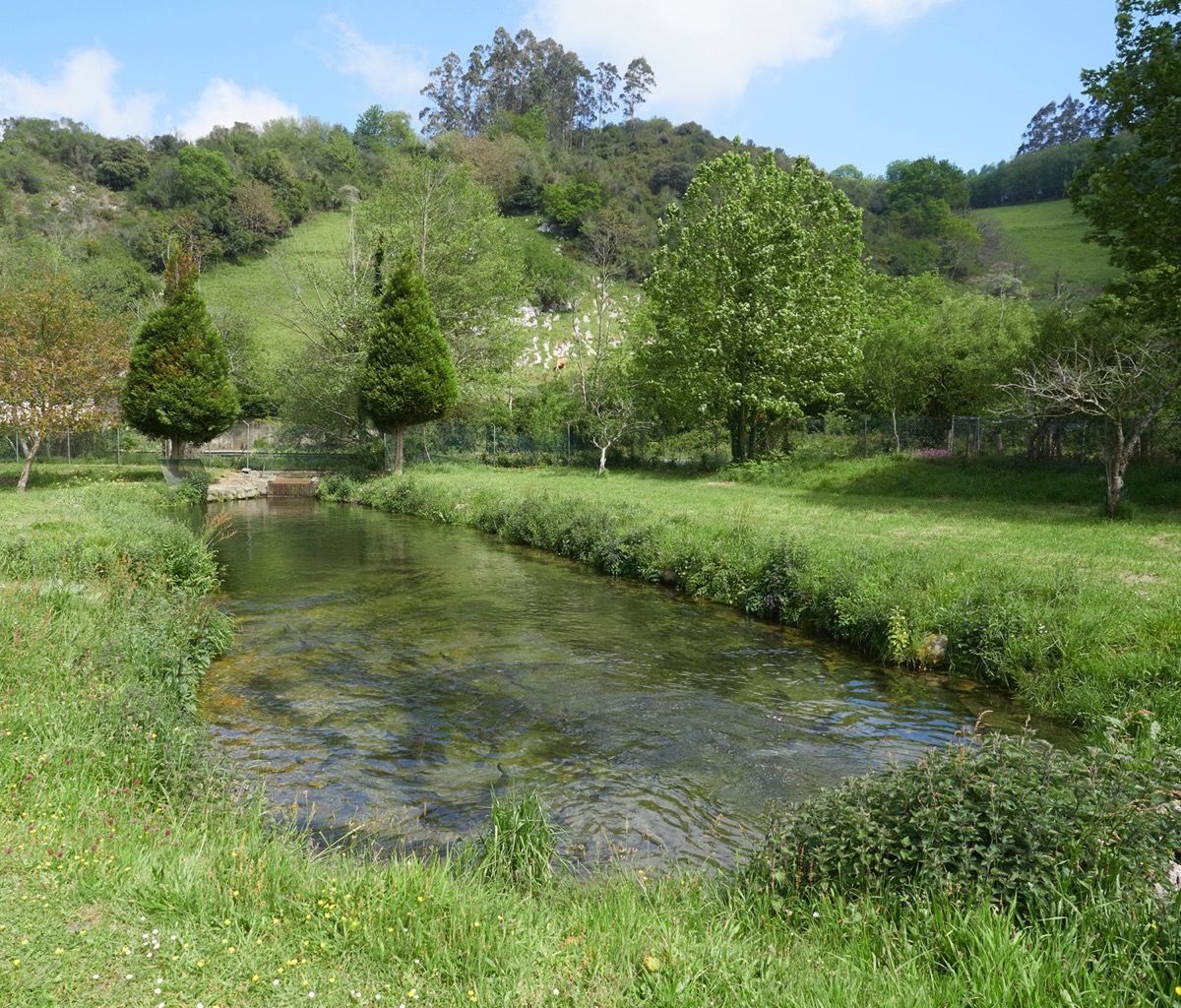 Piscifactoría Bedón, río Bedón, Llanes, Asturias