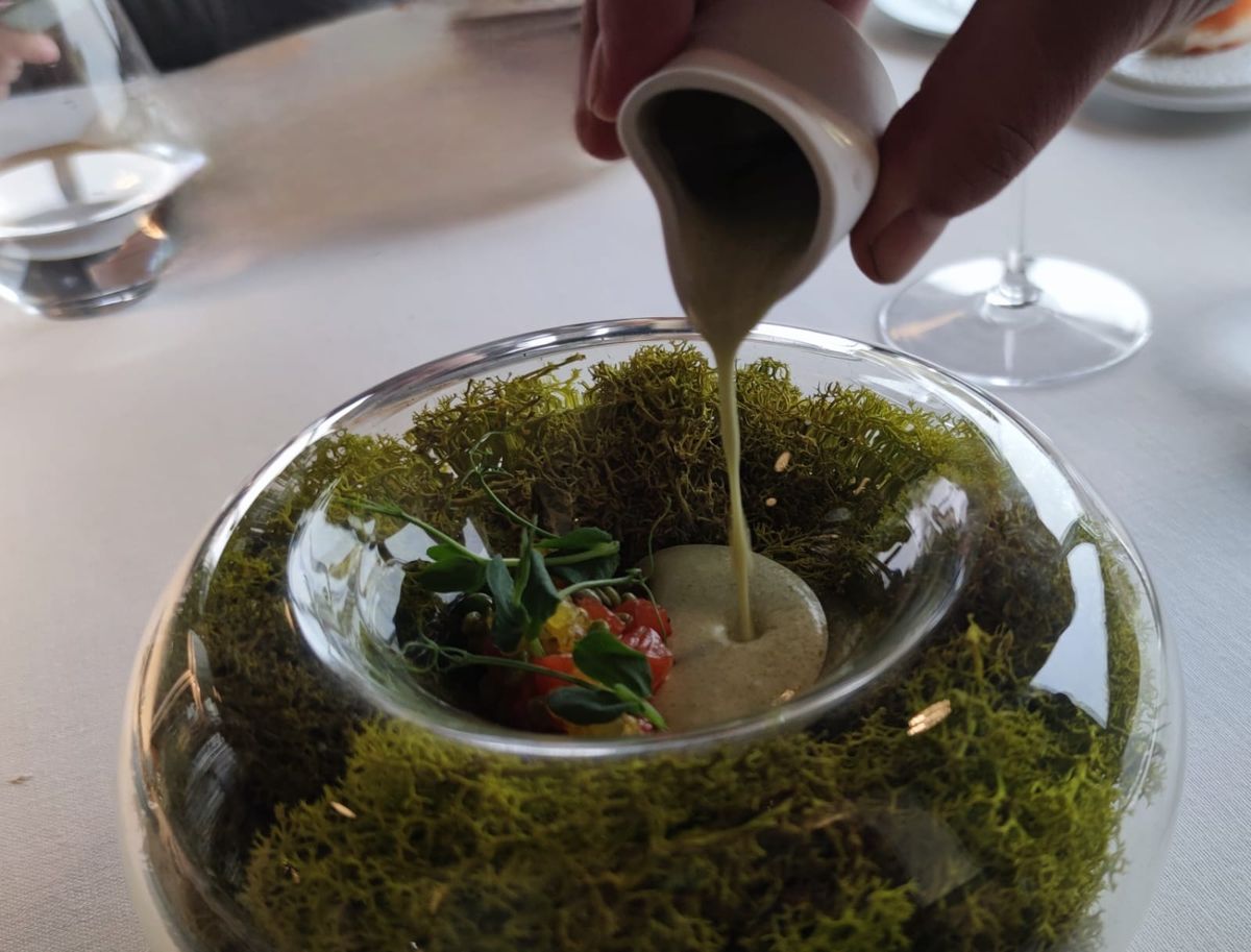 Servicio de salsa sobre trucha del río Bedón