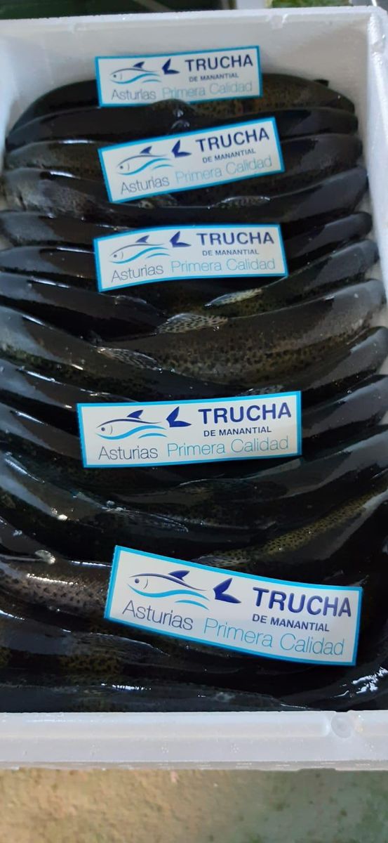 Caja de truchas de manantial con etiqueta primera calidad