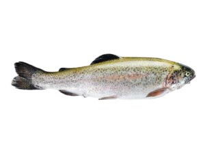 Trucha asalmonada fresca entera 1kg