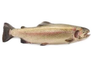 Trucha asalmonada fresca entera +2,5kg